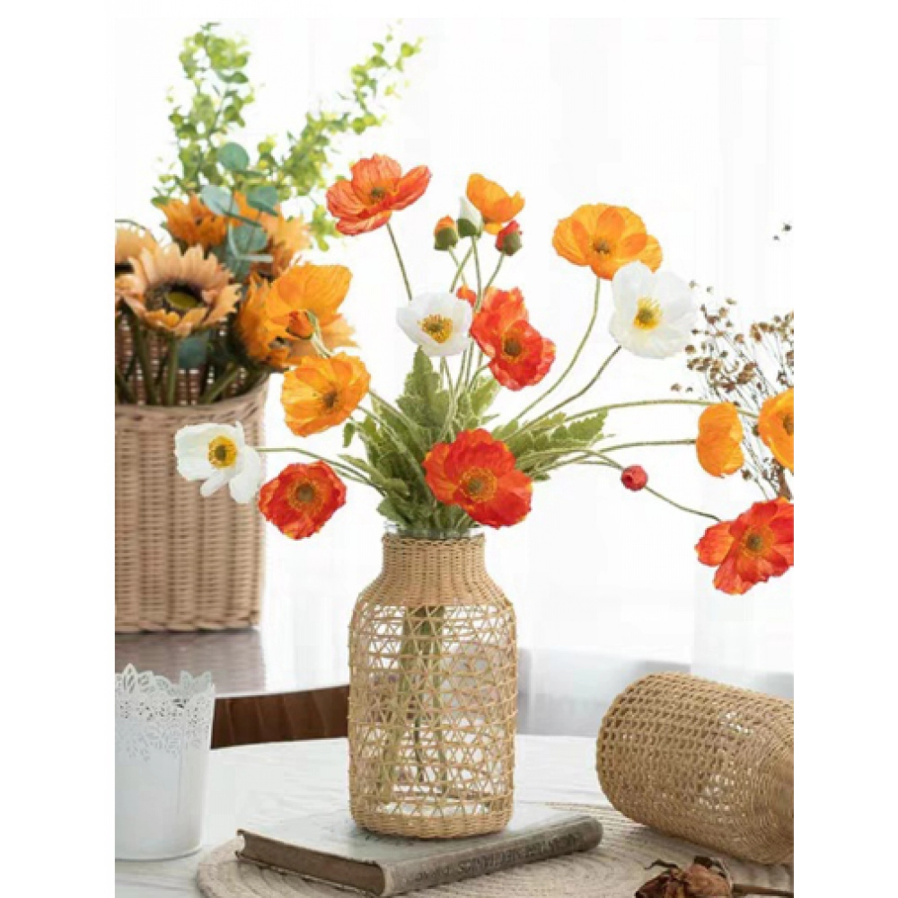 Vine woven straight tube glass vase, Japanese Ins creative aquatic plant home decoration ornaments Vine woven straight tube glass vase, Japanese Ins creative aquatic plant home decoration ornaments