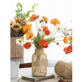 Vine woven straight tube glass vase, Japanese Ins creative aquatic plant home decoration ornaments