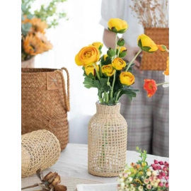 Vine woven straight tube glass vase, Japanese Ins creative aquatic plant home decoration ornaments