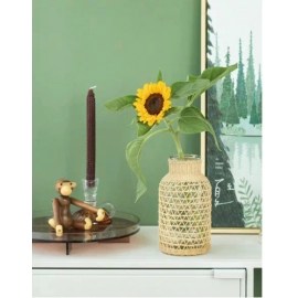 Vine woven straight tube glass vase, Japanese Ins creative aquatic plant home decoration ornaments